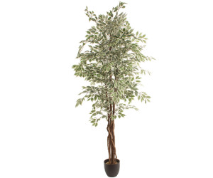 Dirbtinis augalas FICUS 2.20m